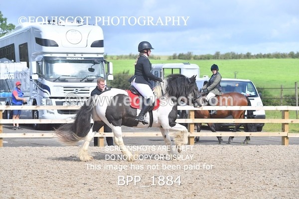 BPP_1884 - DERBY CLASS 5 - 60CM