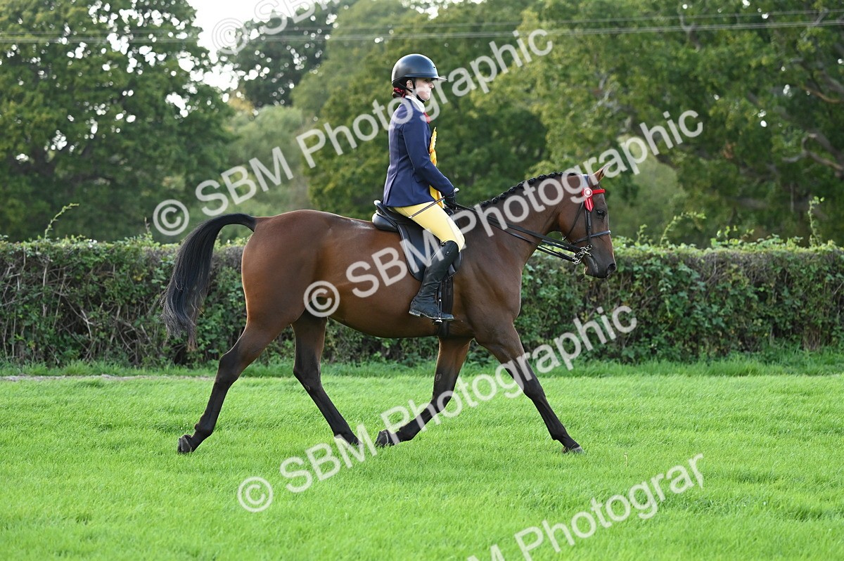 SBM_26524 - S6 - Novice & newcomer Ridden horse