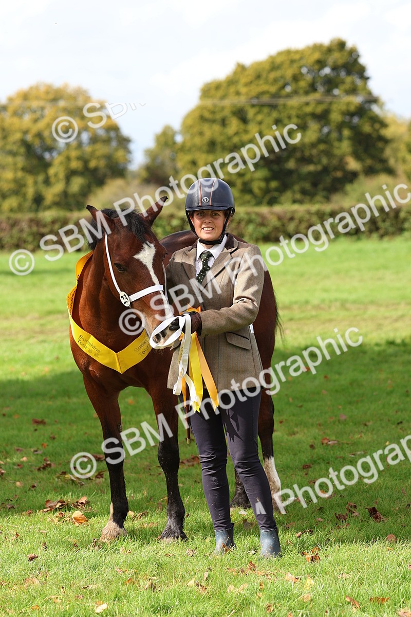 SBM_40790 - S25 -  Veteran In Hand