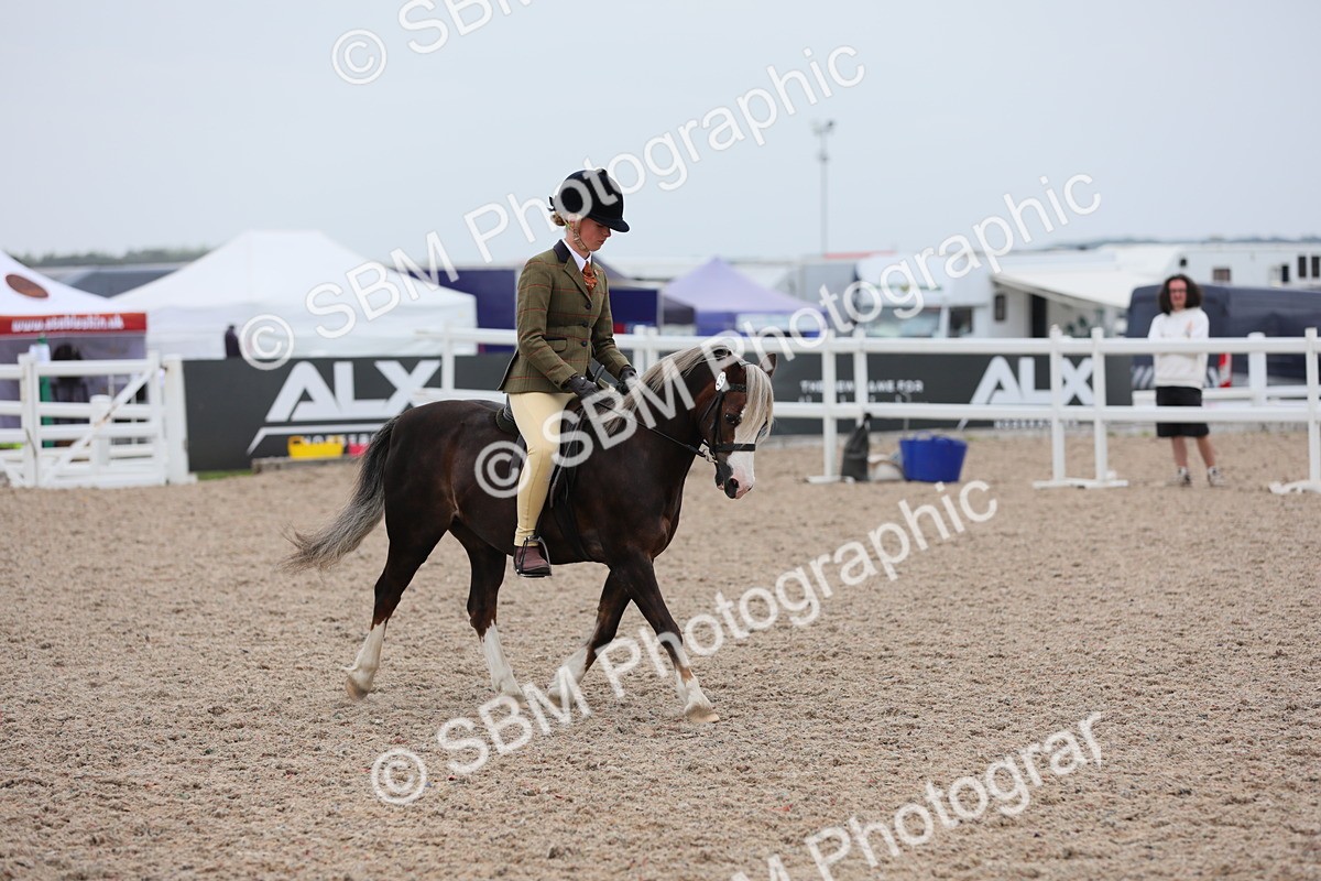 SBM_18115 - Class 316 Best Pony/Rider Combination