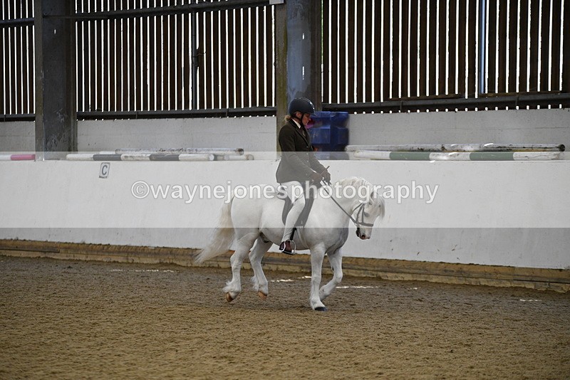 WJ5_6010 - Class 9 Ridden Veteran