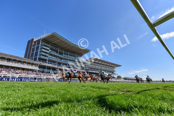 160525-Race 2-Thunder Run-2634 - Race 2 2.42pm Knights Solicitors Handicap