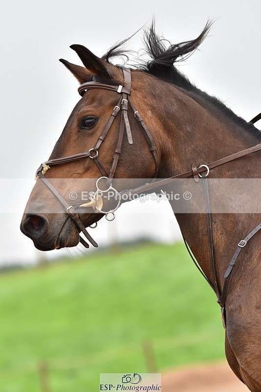 230808A-163022-00201 - 70cm