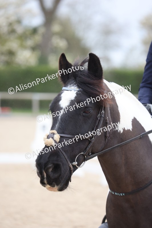 20260404-0200 - Class 2 - Intro 4