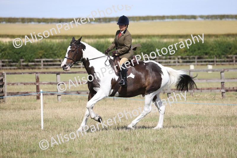 20260906-3317 - Class 20 - Coloured