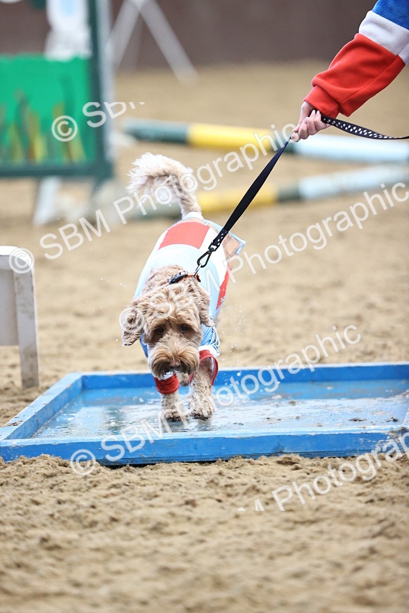 SBM_001615 - Class 3 - Horse & Hound 60cm