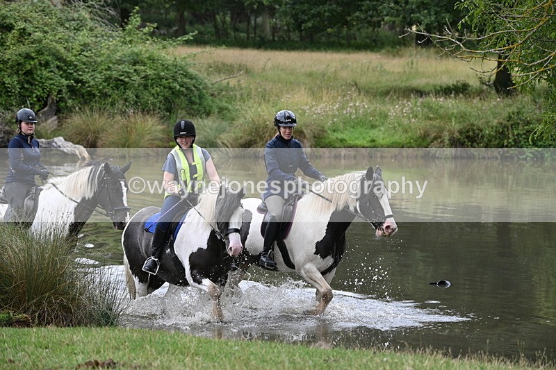 WJ7_3006 - Time at Water 11:37 to 12:13