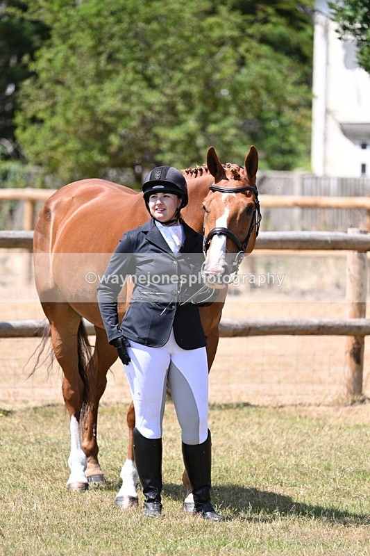 WJ7_2379 - Class 5a Most Handsome Gelding in hand (above 14.2hh)