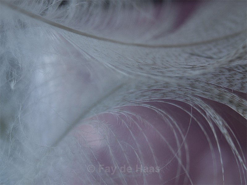 Pluis 3 - Exhibition Images