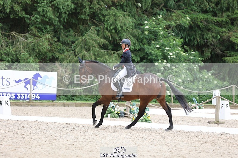 240524-120623-08523 - 274-JACK_OF_CLUBS-Rosalind_Canter