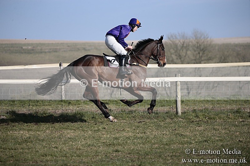 PtP 240218 345 - Vine & Craven Hunt Point-to-Point Barbury racecourse 24/02/18