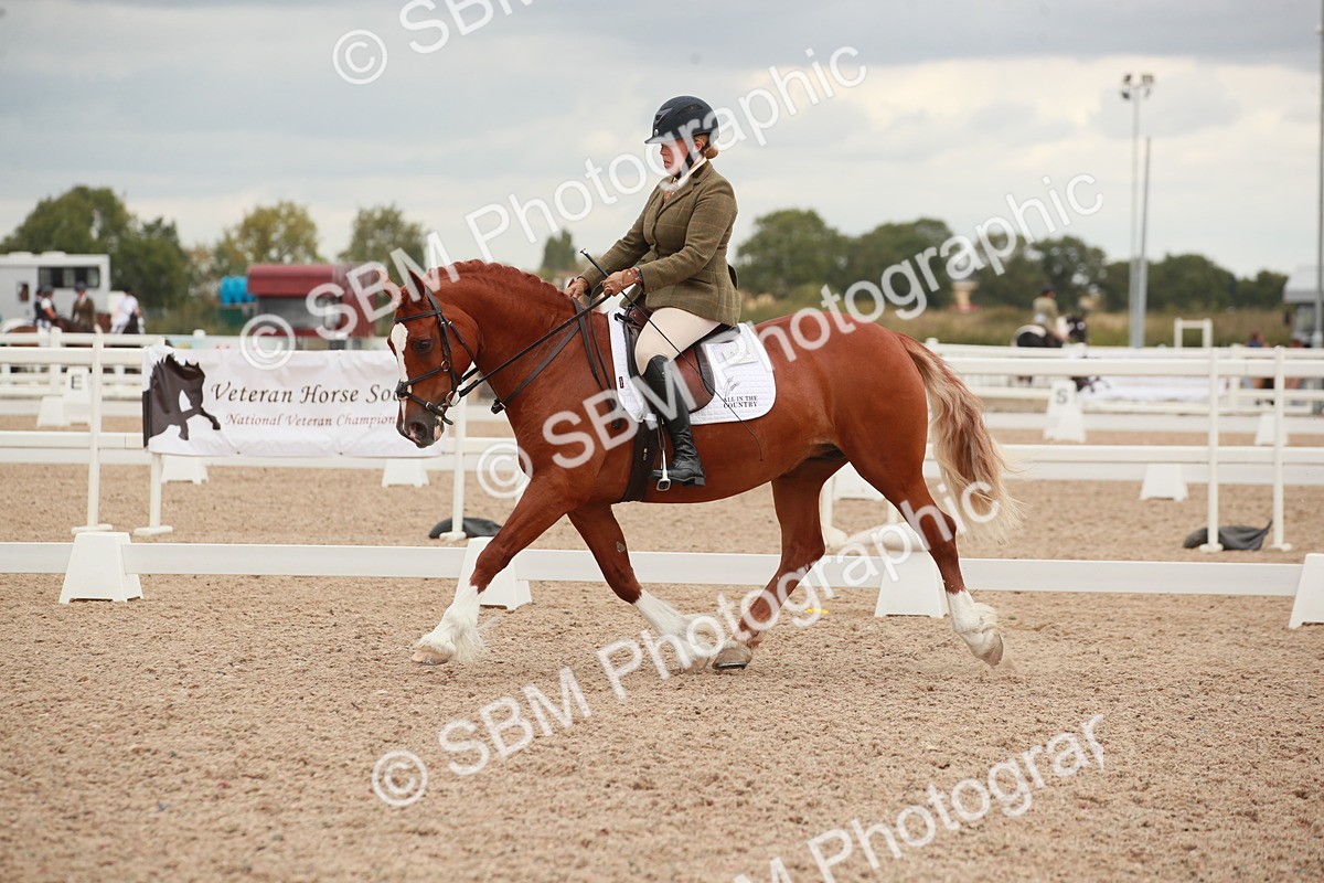 SBM_06088 - Class 33 - Elementary 1