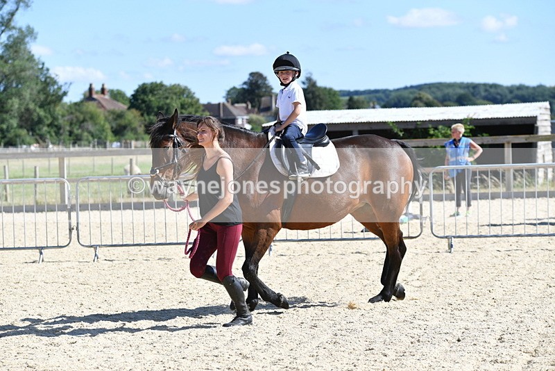 WJ5_5195 - Poles on the Floor