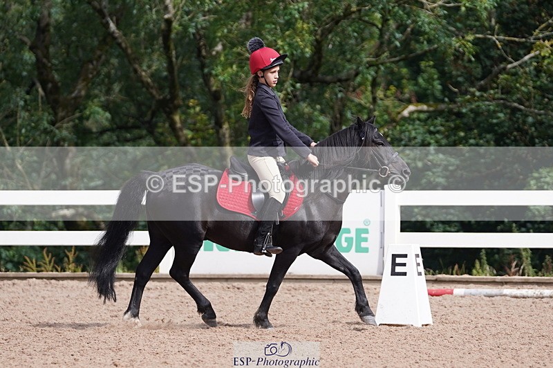 240809A-102406-00528 - Dressage Competition