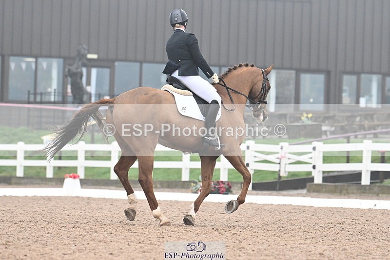 240217A-121510-02569 - 187-Victoria.Powell-W.W.Wilbur.Mac