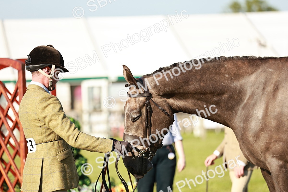 SBM_20164 - Class 117-119 - Sport Horse Working Hunter
