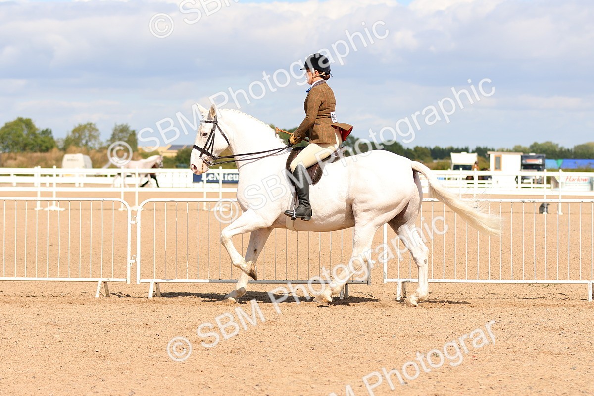 SBM_13494 - Class 212 - Ridden Hunter  - Large