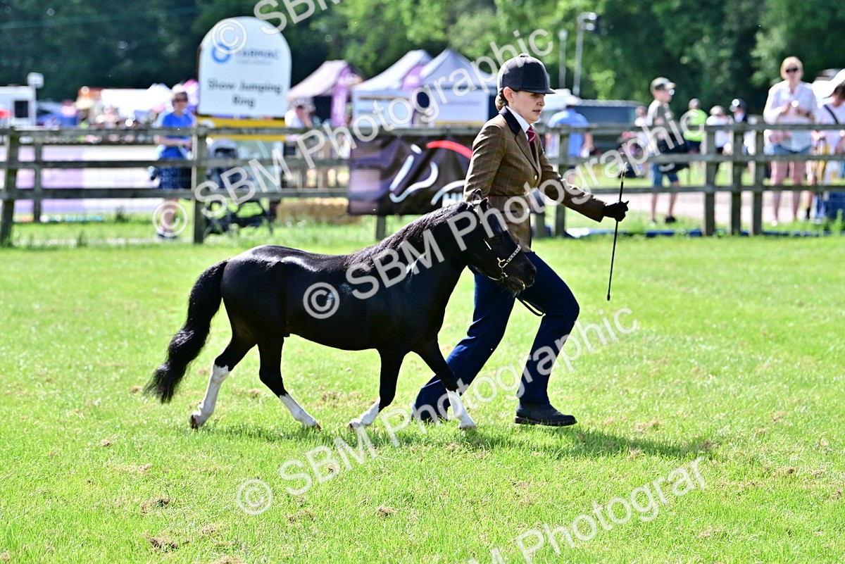 SBM_03421