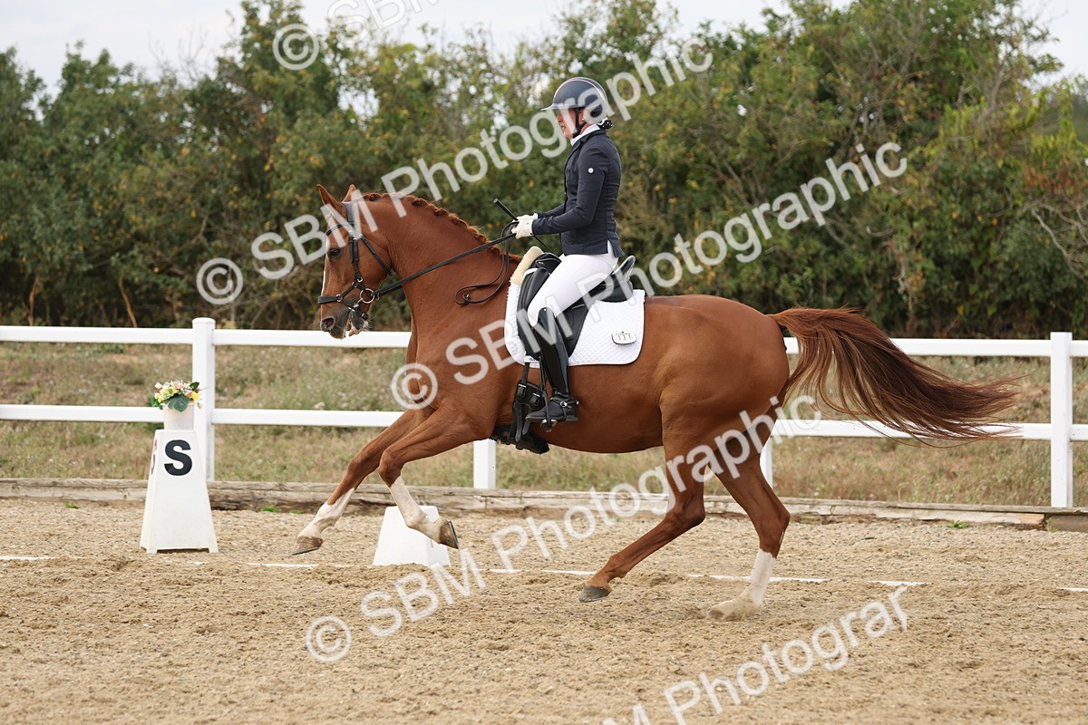 SBM_012013 - Class 21 - AM6