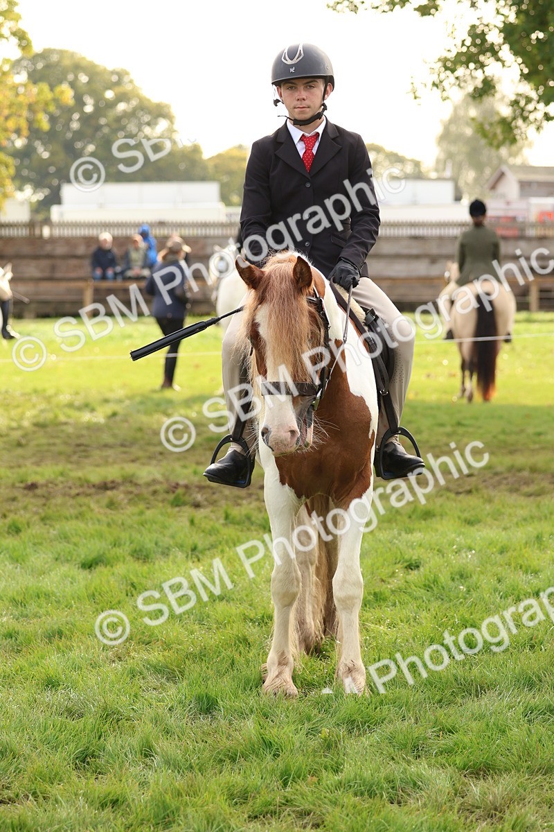 SBM_56631 - S40 - Starters Ridden Showing