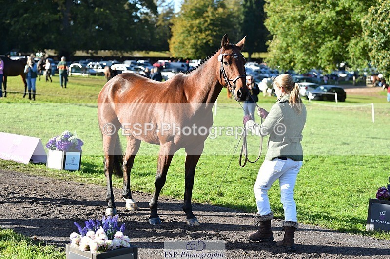 231022-101912-22407 - 433-WILLIAM-Laura.Sharpe-TrotUp+SJ