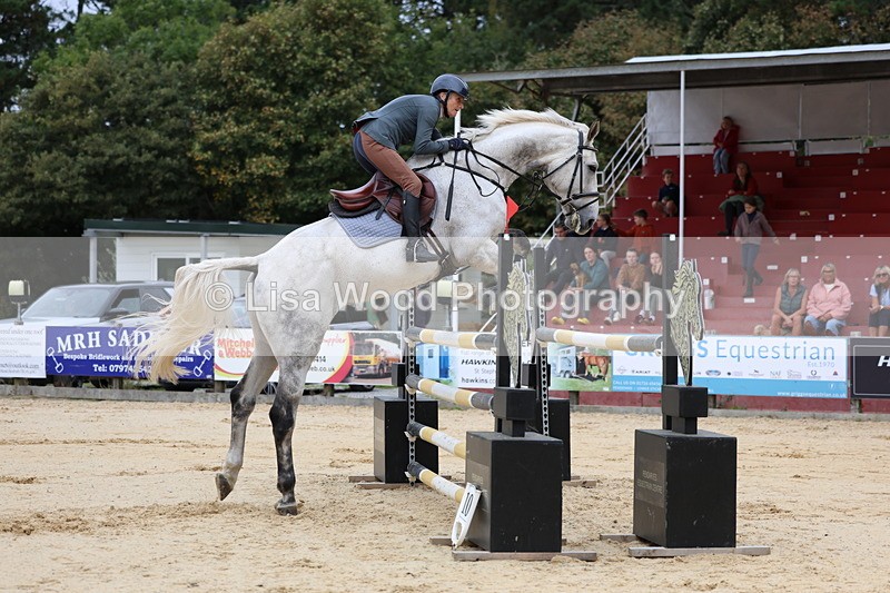 3E7A3241 - Class 9: Senior Foxhunter/1.20 open