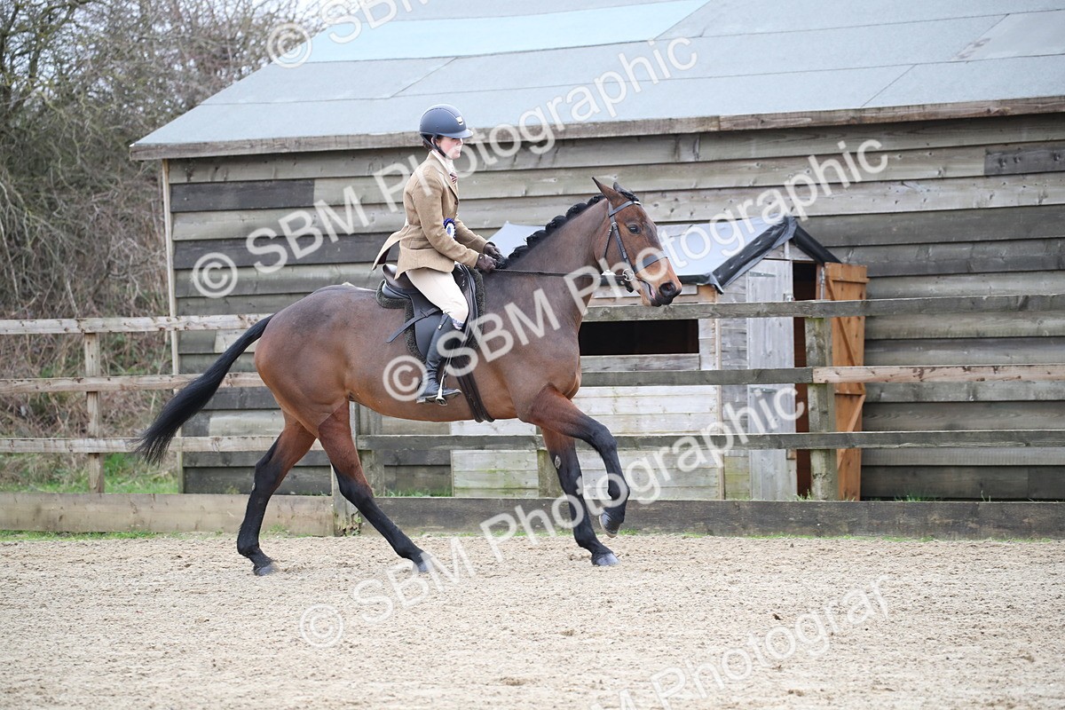 SBM_004780 - Class 5-9 - NPS In Hand-Show Hunter-Intermediate Ridden Inc Ridden Championship