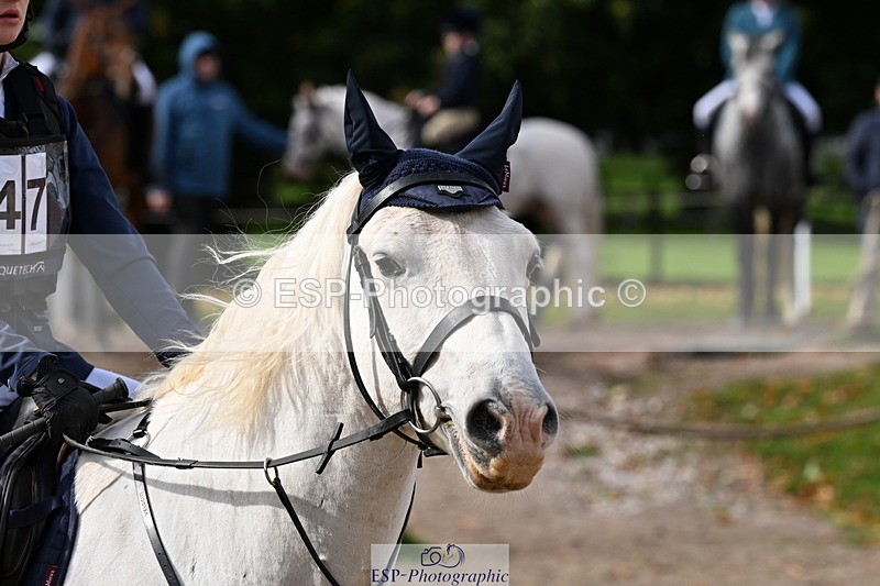 251004A-133802-01308 - Classes 6 & 7 60cm