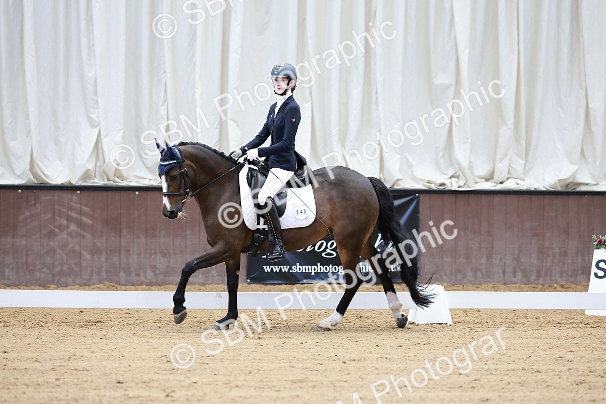 SBM_016810 - Class15 - FEI Pony