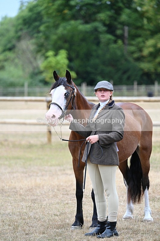 WJ7_8111 - Class 4 Prettiest Mare up to 14.2hh