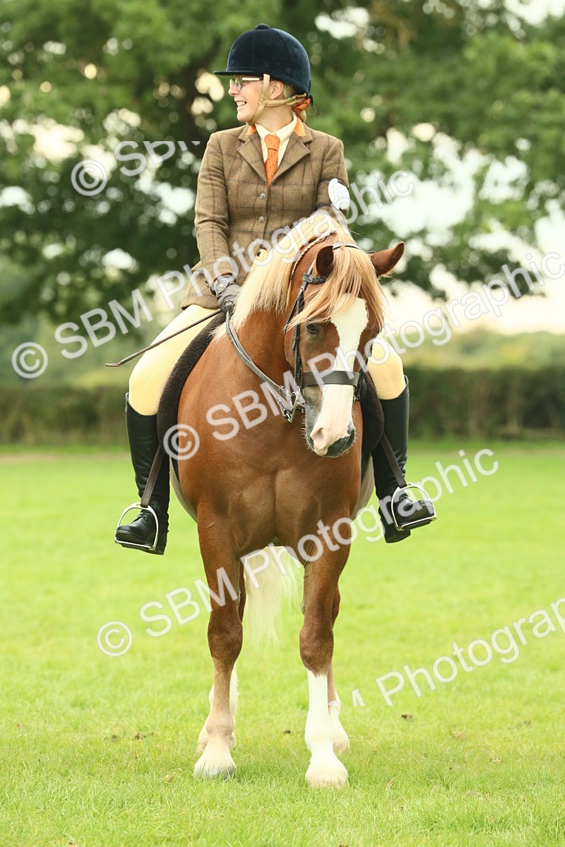 SBM_72197 - S60 - Mountain & Moorland Ridden Large Breeds