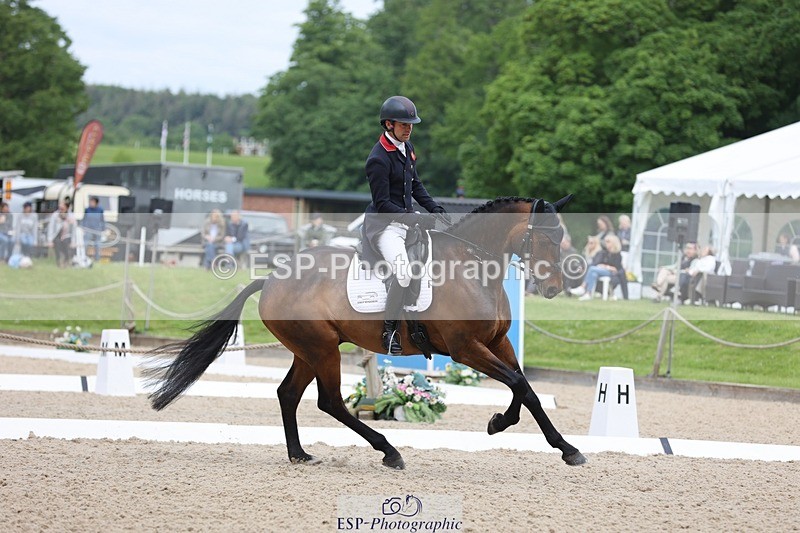 240524-101717-07358 - 260-WATERVALLEY_ROYAL_GUY-Harry_Meade