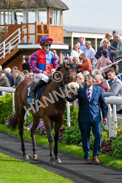 160524-Race 5-Big Evs-6226 - Race 5 4.15pm  British Stallion Studs EBF Westow Stakes