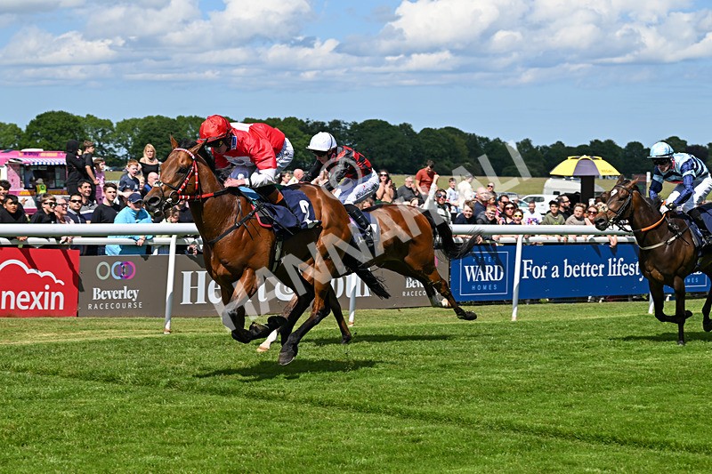 280525-Race 3-Rogue Invader-4844 - Race 3