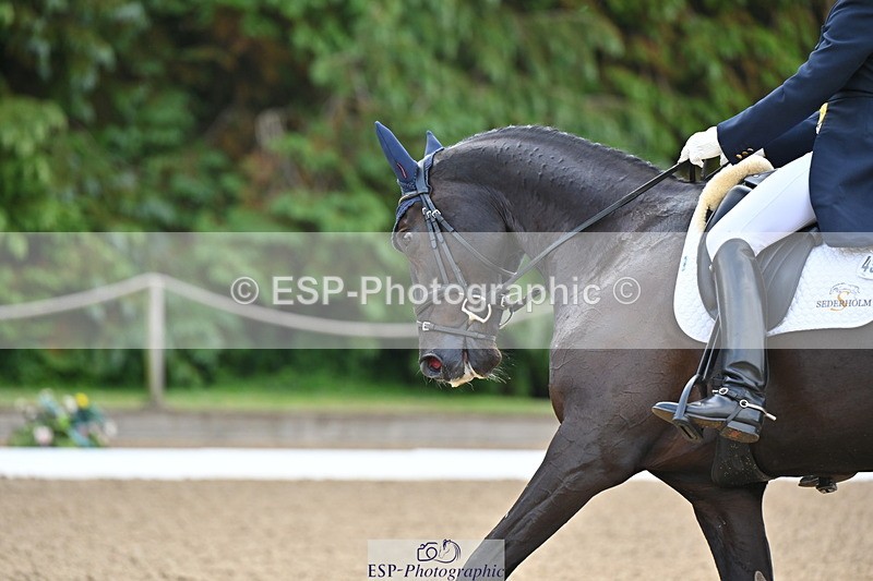 250523A-090707-05424 - D-452-Tiana.Coudray-COEUR.DE.L.ESPRIT.Z