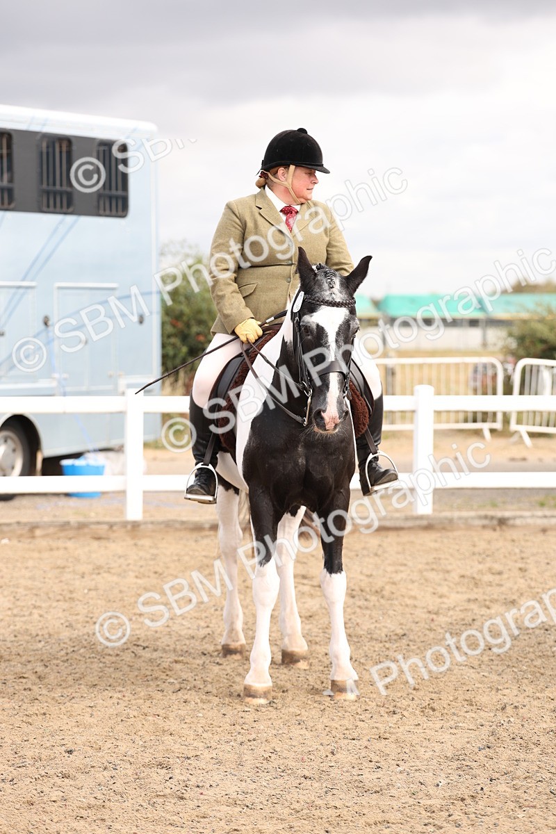 SBM_04296 - Class 54 - Riding Club Horse/Pony