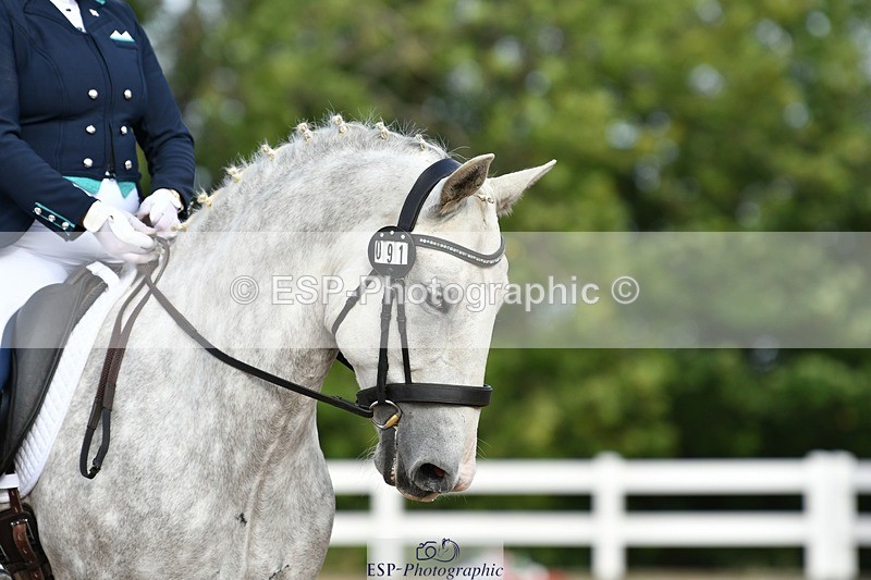 250906-091855-00309 - 091-Jenny.FolmanPluto.Barbana