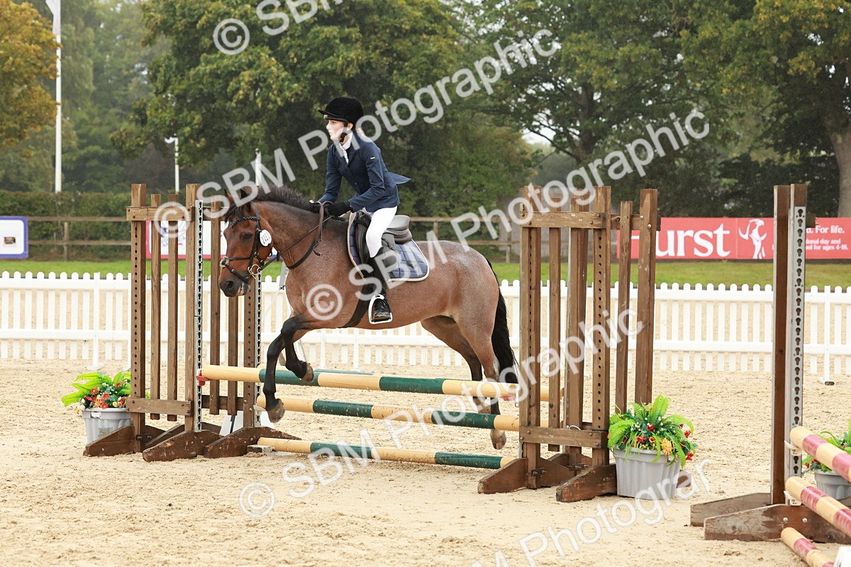 SBM_73269 - Supreme Championship Junior Pony 60cm & 65cm