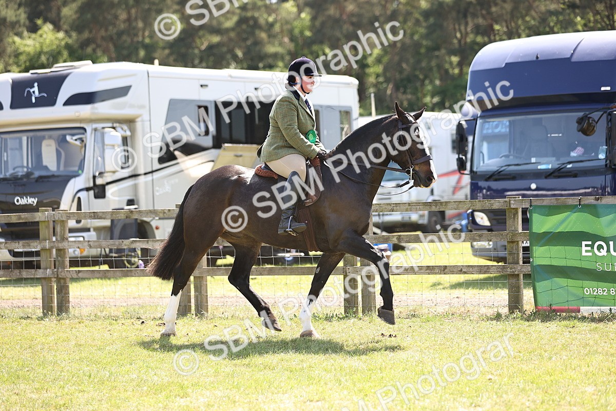 SBM_17962 - Class 81-83 - TSR Ridden Amateur of the Year - Horses