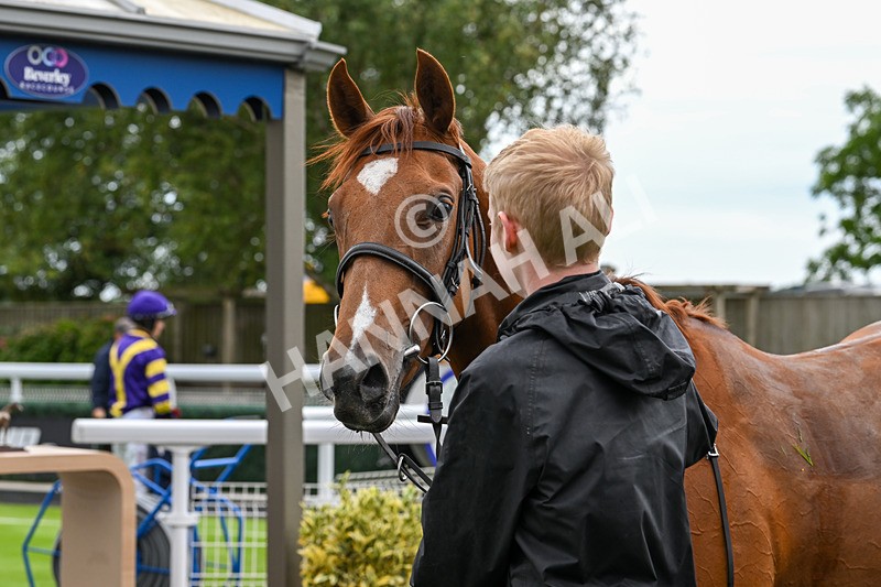 040725-Race 1-Golden Palace-4019 - Race 1