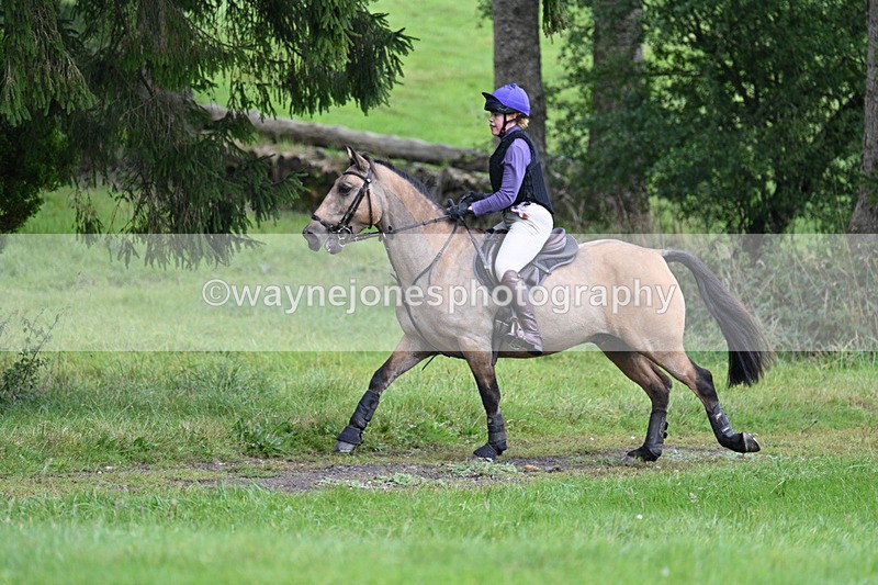 WJ7_8145 - Time 14:11 to 14:30