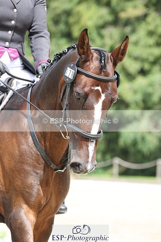 230812-135259-04331 - Cls 5 Novice Bronze 13.40 to 14.45 break