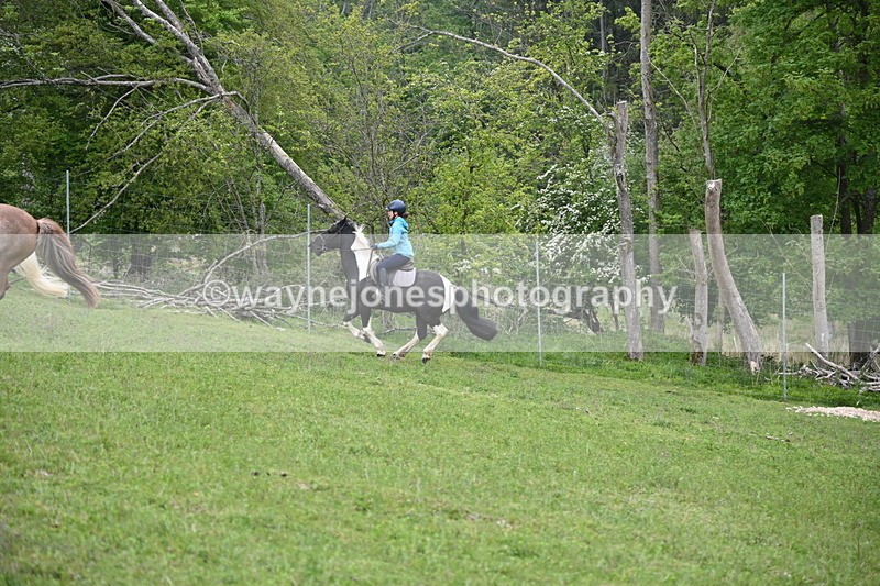 WJ6_3063 - A Camera