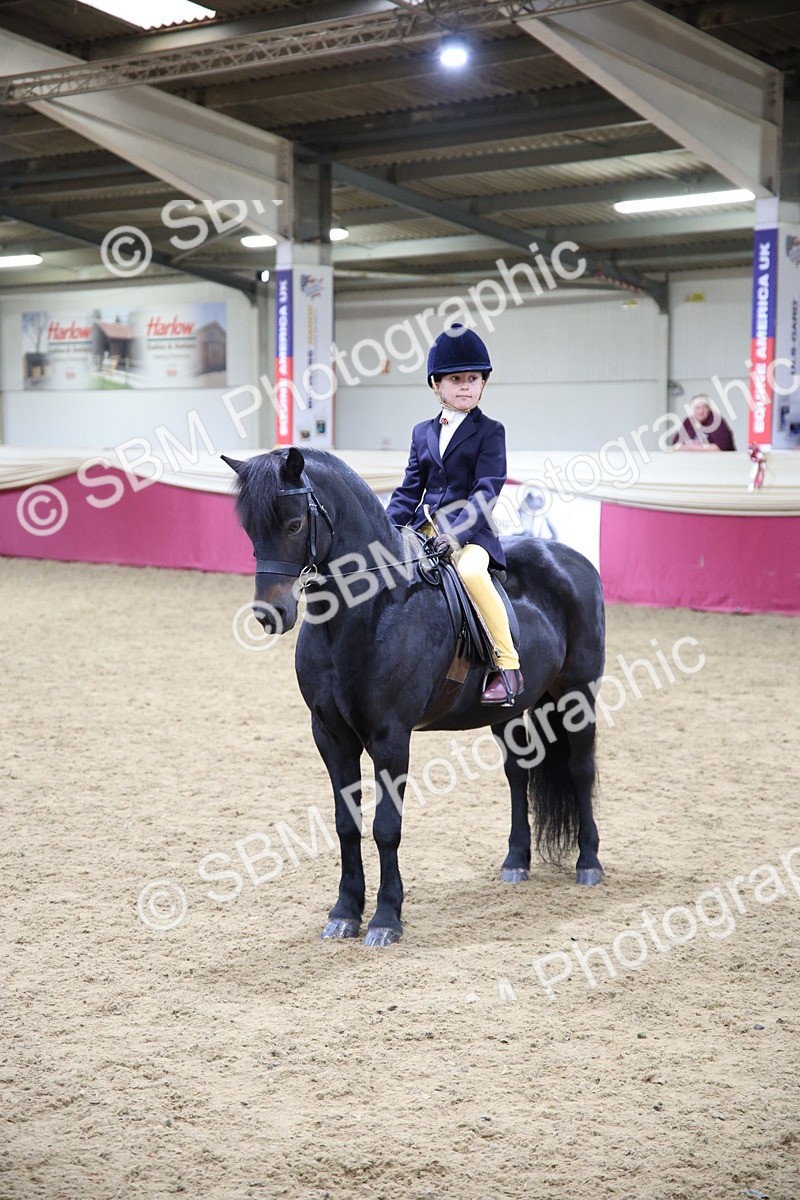SBM_19040 - Class G Ridden Pony Champ