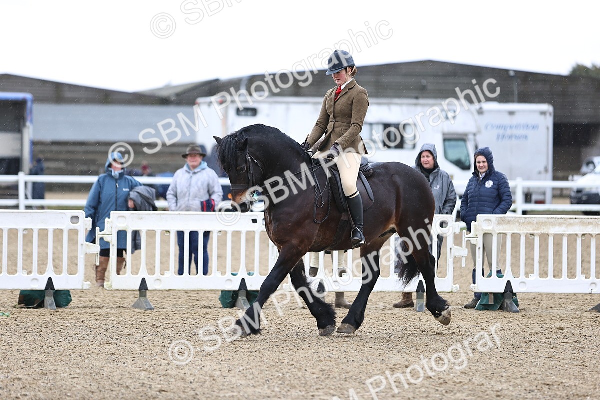 SBM_008283 - Class 33-34 - M&M Open Ridden Small-Large