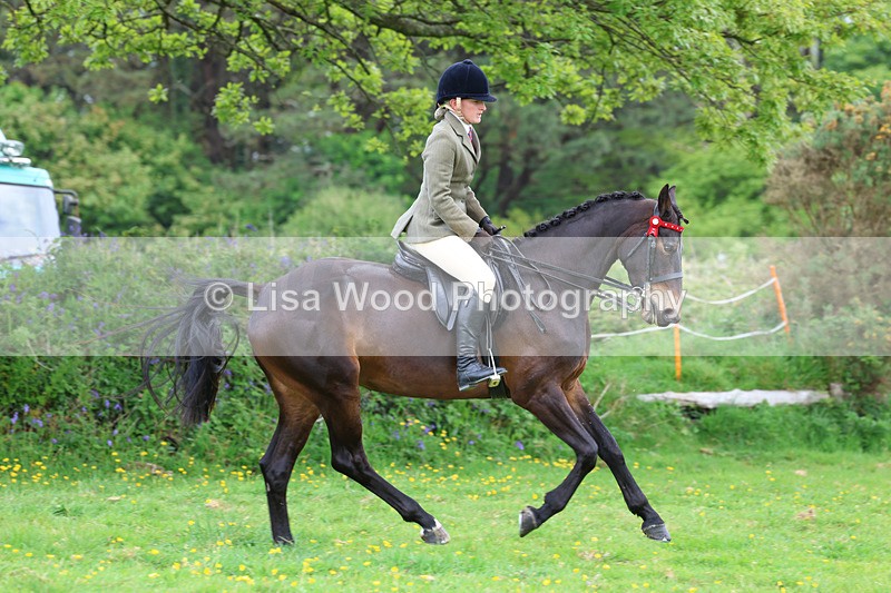 3E7A1993 - Class 10: Ridden Sports Horse