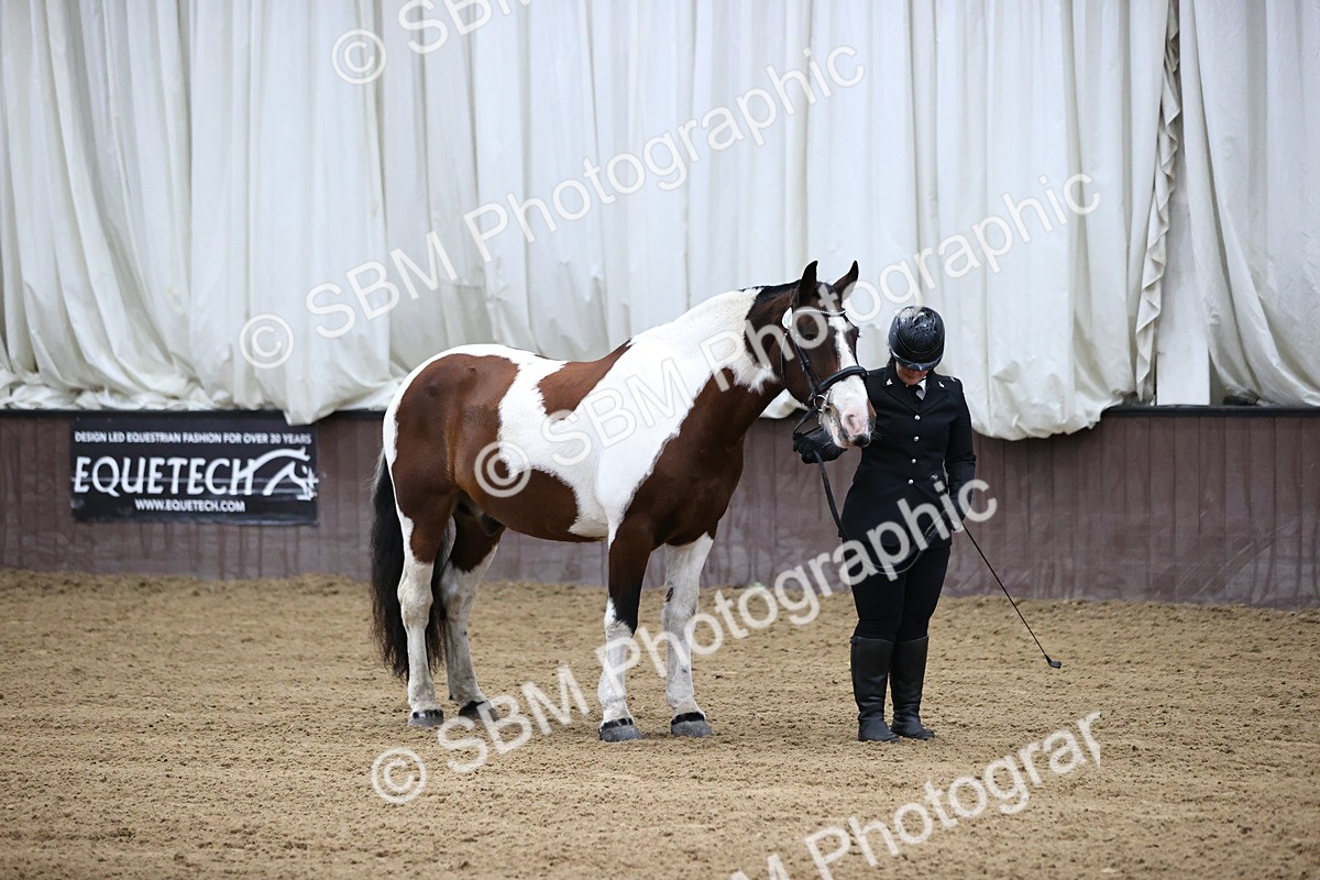 SBM_5264 - Class 32 - In Hand Cob Type