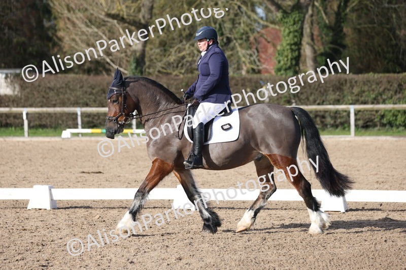 20260214-0570 - Class 5 - Novice 3