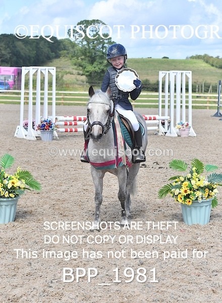 BPP_1981 - DERBY CLASS 5 - 60CM