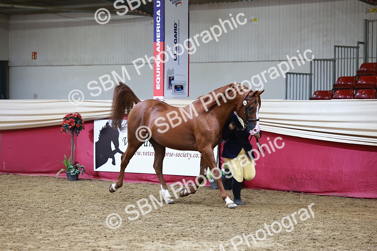 SBM_22287 - Class 902 - Supreme Final - IH Diamond